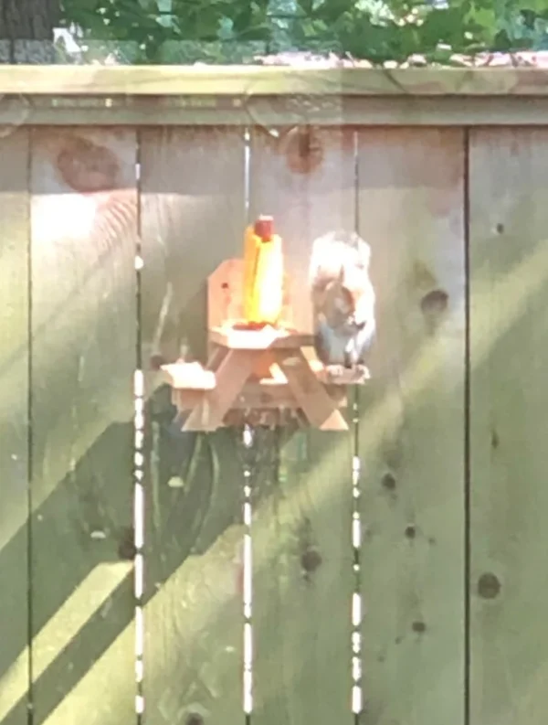 Wooden squirrel feeder picnic table